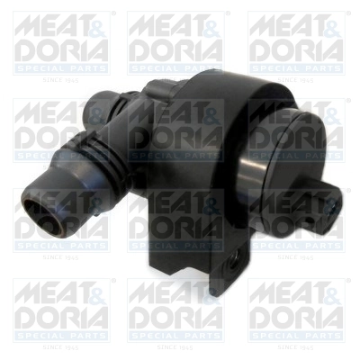 Auxiliary Water Pump (cooling water circuit)